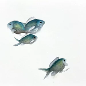 Miss Darling Art oeuvre - Fischies