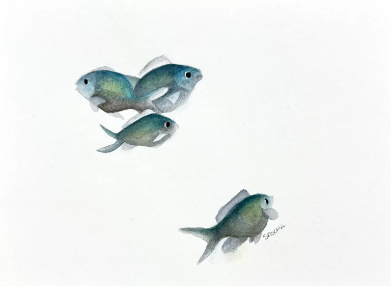 Miss Darling Art oeuvre - Fischies